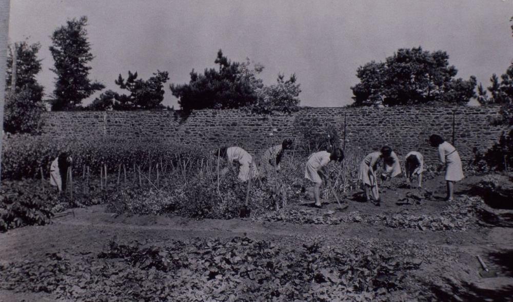 Potager de l'école ménagère de Rohannec'h, années 1950 © Archives départementales des Côtes d'Armor, 72Fi 2 150