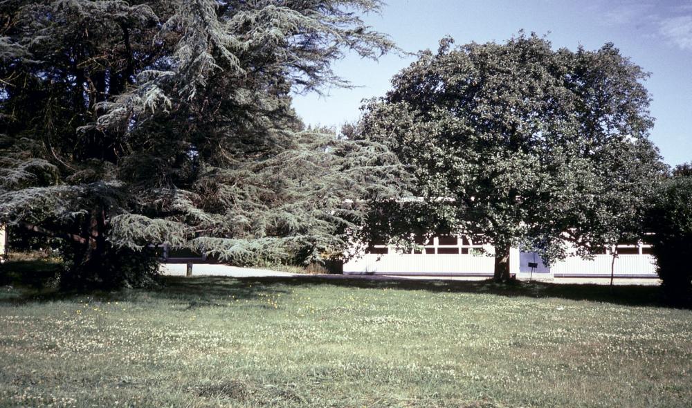 Salle de cour du collège agricole dans un préfabriqué installé au cœur du parc de Rohannec'h © Archives départementales des Côtes d'Armor, 72Fi 1 015